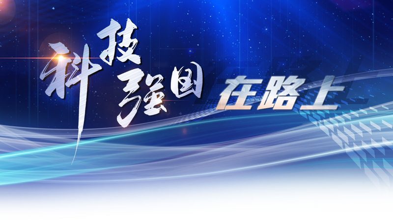 IT数据服务商如何选择？关键因素解析